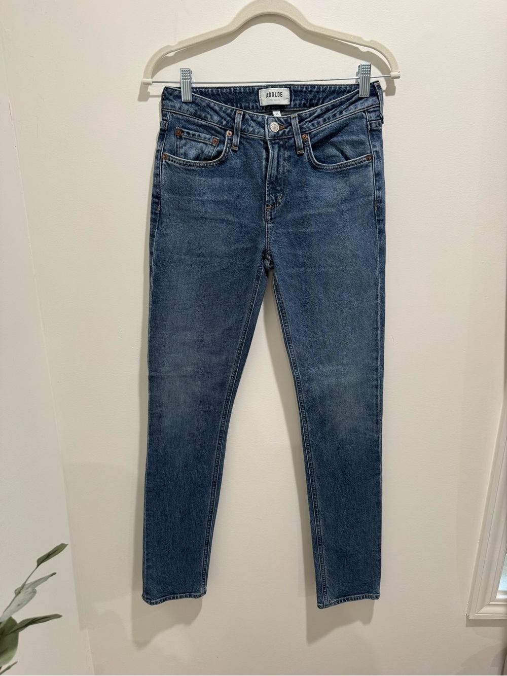 AGOLDE Devon Low Rise Straight Leg Jeans Size 24